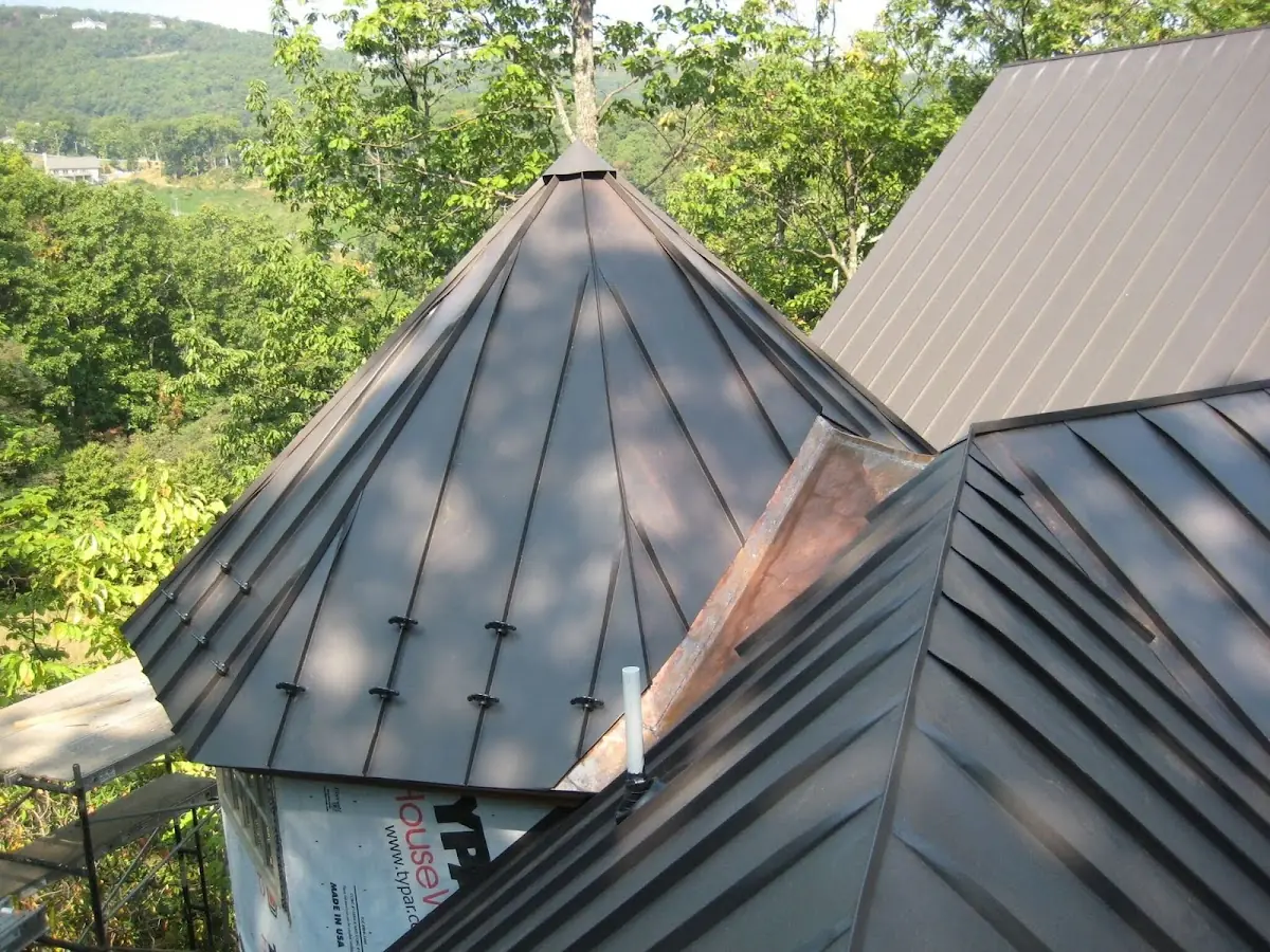 Professional Shingle Replacement & Repair by Craftsman Roofing in Century Palms
